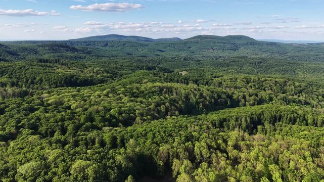 Smooth drone video showcasing expansive forest landscapes and rolling green hills of the Male Karpaty mountain range in Slovakia during spring season.