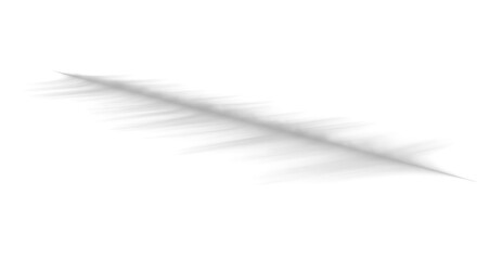 Fototapeta premium Gray feather on white background.