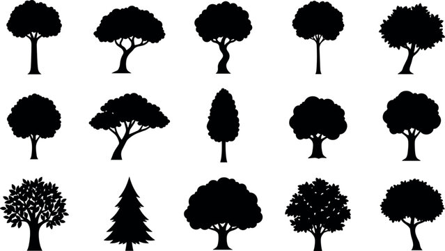 Nature Tree Silhouette Icon Set Featuring Diverse Deciduous and Conifer Plant Shapes for Eco Forestry Landscape Architecture and Graphic Designs