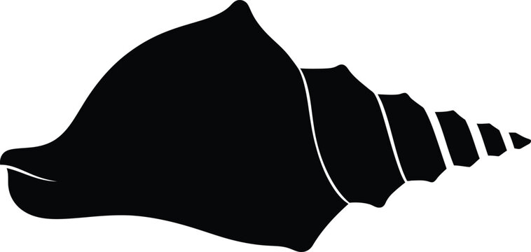 Black silhouette of a conch shell with spiraled whorls on a white background