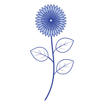 ageratum blue mink flower with branch line art on white background