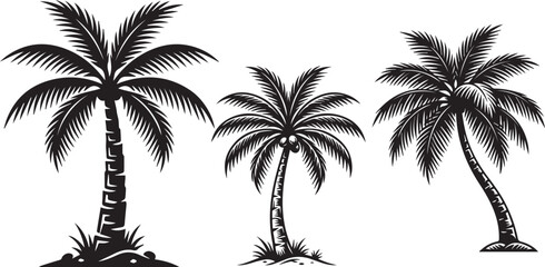 Obraz premium palm tree silhouette