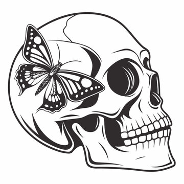 Skull with butterfly illustration a detailed black and white vector graphic on a white background anatomy