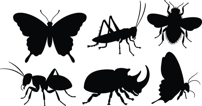 Insect silhouette collection with butterfly beetle ant grasshopper and fly vector illustration isolated on white background