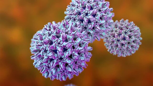 Hepatitis B virus particles, 3D animation showing slowly rotating enveloped virions with surface antigen spikes, illustrating viral pathogen causing liver infection.
