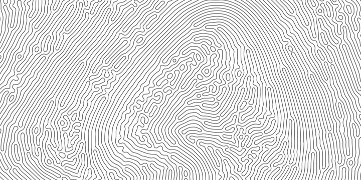Organic seamless patterns with rounded lines Diffusion reaction background. Monochrome background of natural organic forms motion. Overlay template abstract Turing organic wallpaper background.