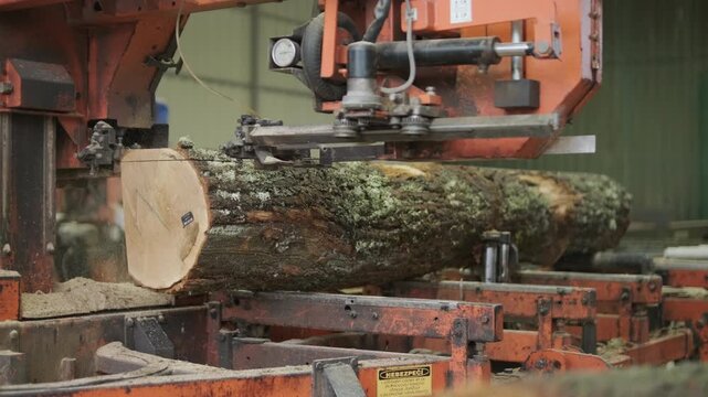 A heavy tractor carrying a bunch of wooden logs and placing them onto an automated conveyor at a sawmill facility