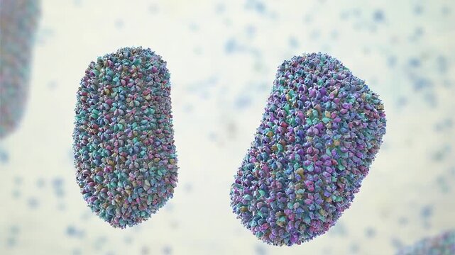 Human immunodeficiency virus (HIV) particles with envelope glycoprotein spikes, rotating and drifting. 3D animation of enveloped retrovirus responsible for acquired immunodeficiency syndrome.