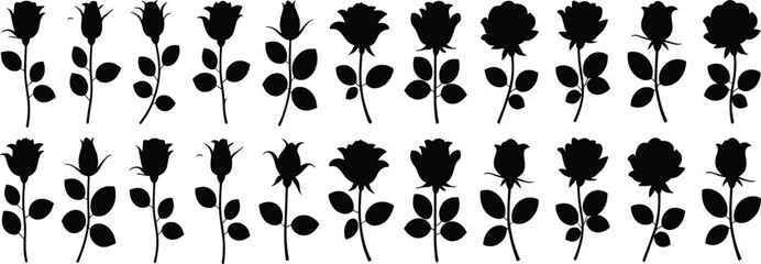 Obraz premium Elegant Rose Flower Silhouette Collection Featuring Botanical Floral Elements, Romantic Nature Designs, and Decorative Garden Illustrations for Creative Branding Projects