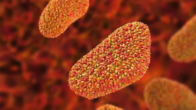 Human immunodeficiency virus (HIV) particles with envelope glycoprotein spikes, rotating and drifting. 3D animation of enveloped retrovirus responsible for acquired immunodeficiency syndrome.