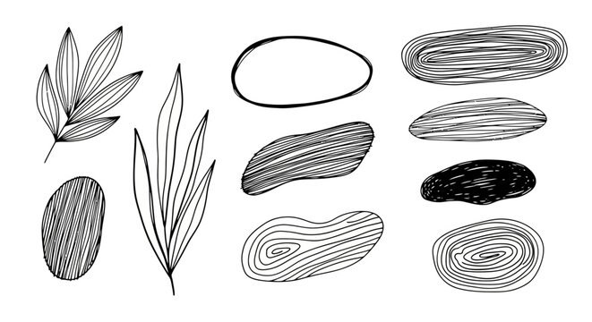 Abstract line art elements leaves shapes and decorative design