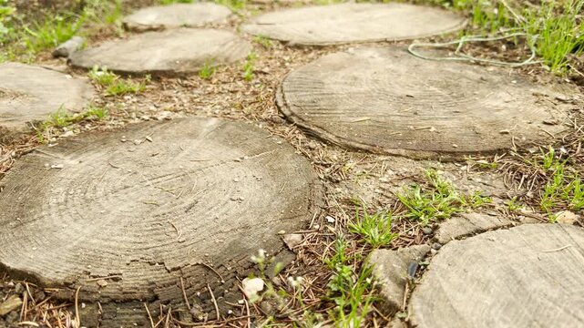 Weathered wood slices form a low-profile garden pathway through soil and scattered grass. The peaceful scene resonates with a steady city hum and the crisp singing of birds.