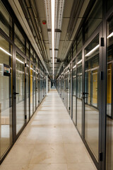 Fototapeta premium Futuristic business hallway interior