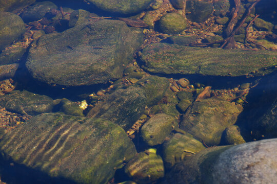 Shiny gold rock on riverbed under clear water