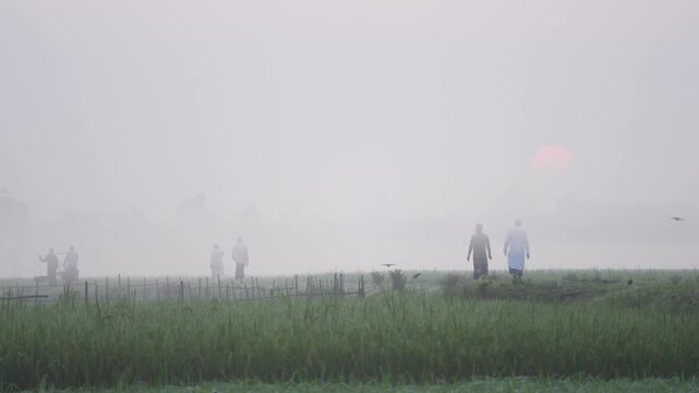 Bogura, Bangladesh - 17 May 2026: View of people walking through a misty green field during a hazy sunrise with a red sun visible in the background.