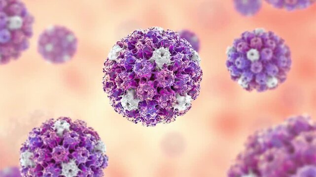 Human papillomavirus particles shown in 3D animation, non-enveloped DNA virions associated with HPV infection and cervical cancer in humans.