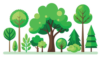 Fototapeta premium Green Tree Collection Flat Vector Set Isolated Nature Illustration Bundle