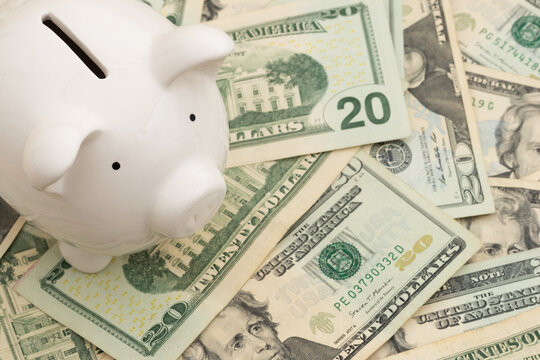 Piggy bank on twenty dollar bills for budgeting