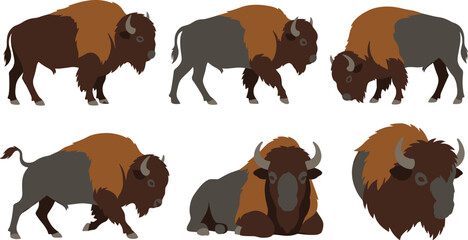 American Bison Wildlife Vector Collection Featuring Buffalo Poses, Grazing Mammals, Powerful Herd Animals, and Prairie Nature Illustrations © MdNazmul