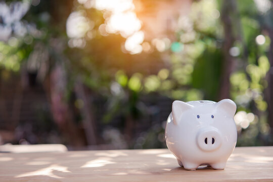 White piggy bank on table with warm sun light and blurred garden background, savings concept