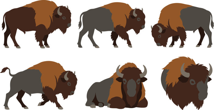 American Bison Wildlife Vector Collection Featuring Buffalo Poses, Grazing Mammals, Powerful Herd Animals, and Prairie Nature Illustrations