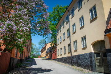 Naklejka premium View of Stockholm City in spring
