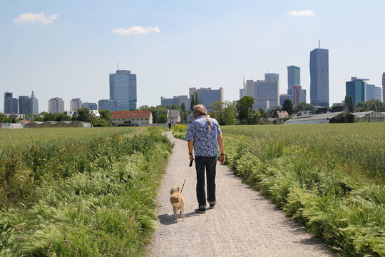 Mann mit Hund zwischen Feldern und Skyline