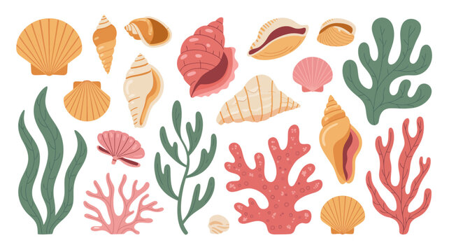 Collection Of Colorful Seashells And Marine Plants Vector Illustration shell life ocean sea coral seaweed algae scallop spiral nautilus conch art