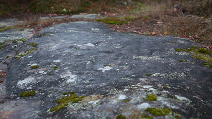 Conjunto de O Esperón, Petroglifos de Gargamala a. 2000 a.C., Mondariz, Lugo, Galicia, España © IVÁN VIEITO GARCÍA
