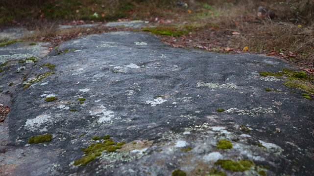 Conjunto de O Esper&oacute;n, Petroglifos de Gargamala a. 2000 a.C., Mondariz, Lugo, Galicia, Espa&ntilde;a