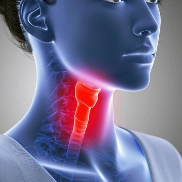 Blue female head silhouette showing red highlighted thyroid neck structure