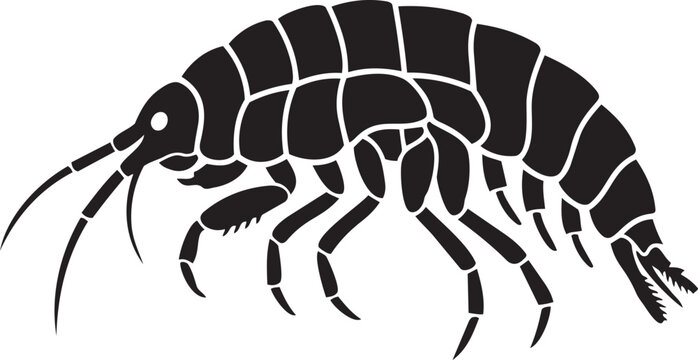 Black silhouette of a gammarus amphipod crustacean a simple vector illustration for marine biology or science concepts isolated on white
