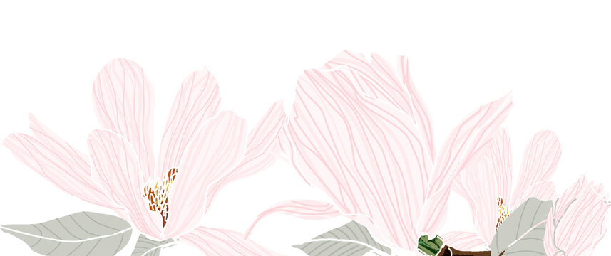 Banner con magnolie rosa su sfondo bianco