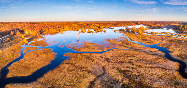 Flooded Parnu River floodplain in Soomaa,  Estonia.