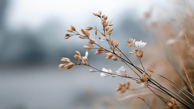 beautiful minimalist photography of modern something natural wallpaper for iphone, macro shot, wide angle photography, minimal wallpaper 