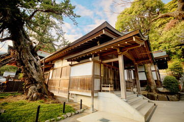 Obraz premium Kamakura, Japan - March 11, 2026: Pagodas and pavilions at the Tsurugaoka Hachimangu Shrine in Kamakura, Kanagawa, Japan 