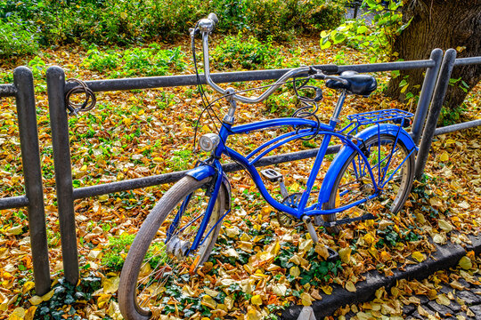 Bicycles covered in green leaves near a building alongside many plants on a cobblestone street during the fall in an urban area
