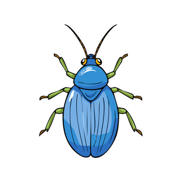 Vibrant Blue Beetle Insect Illustration with Six Legs and Antennae Detailed Drawing