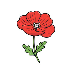 Obraz premium Vibrant Red Poppy Flower Illustration with Green Stem and Leaves