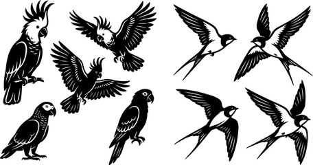 Black and White Birds Silhouette Vector Icon Set with Flying and Perching Cockatoo Parrot Macaw and Swallow for Wildlife Graphic Design © MdMunzurul