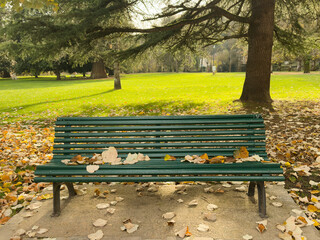 Fototapeta premium Yellow maple leaves with bench at parks is a colourful carpet