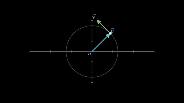 2D physics animation demonstrating the angular momentum of a particle in circular motion with velocity and radius vectors, educational science simulation.