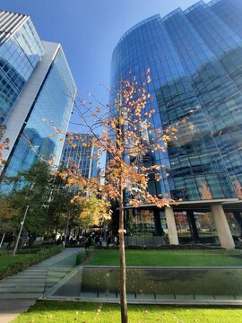 Oto&ntilde;o 2026, mayo. Las Condes, Santiago de Chile. Sector p&uacute;blico de descanso de oficinas corporativas.