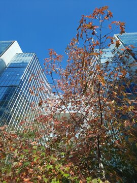 Oto&ntilde;o 2026, mayo. Las Condes, Santiago de Chile. Sector p&uacute;blico de descanso de oficinas corporativas.
