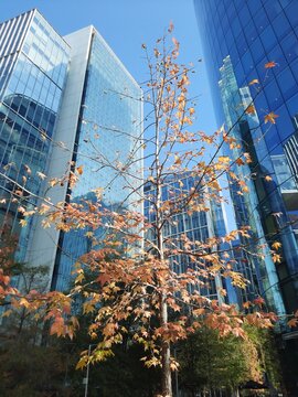 Oto&ntilde;o 2026, mayo. Las Condes, Santiago de Chile. Sector p&uacute;blico de descanso de oficinas corporativas.