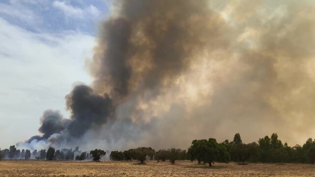 Columna de humo por incendio visible a kil&oacute;metros