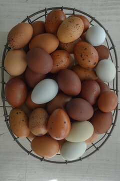 Eggs