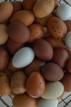 Eggs