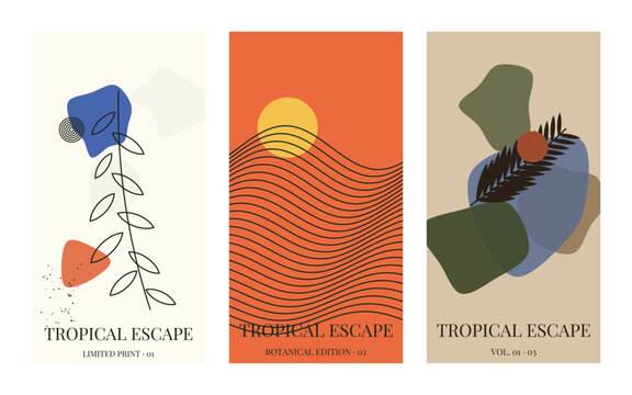 Set of three modern minimalist botanical posters with abstract floral elements vector illustration