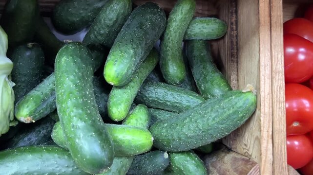 Produce Market Cinematic &ndash; Zoom In on Fresh Cucumbers
